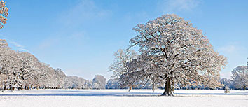 浙江队突围成功，登上季后赛资格