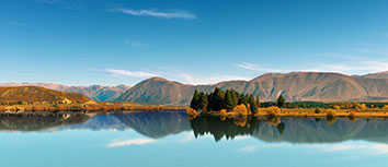 全明星球员集体回归，球队实力大增